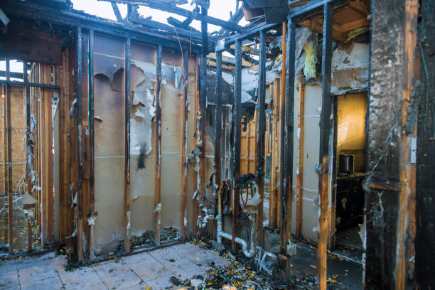 Professional Smoke Damage Removal technician working in Point Roberts, WA